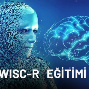 wisc-r zeka testi eğitimi uygulayıcı sertifikası 2023