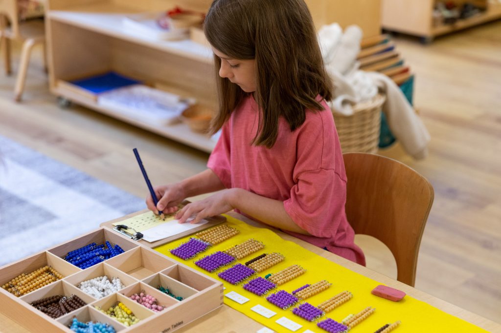 Montessori (100 Saat) Sertifika Eğitimi