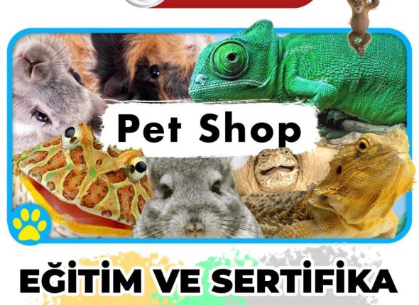 pet-shop-sertifikali-egitimi-sorgulanabilir-sertifika-1022x1024