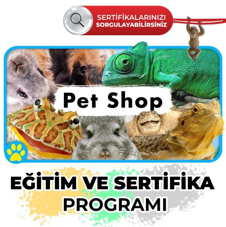 pet-shop-sertifikali-egitimi-sorgulanabilir-sertifika-1022x1024