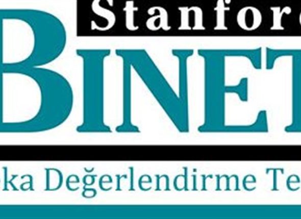 stanford-binet-zeka-olcegi-egitimiuniver-1337