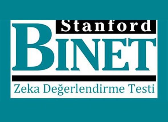 stanford-binet-zeka-olcegi-egitimiuniver-1337-948x1024