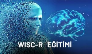 Wisc-r Zeka Testi Eğitimi Sertifika Eğitimi